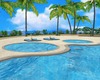 Island Paradise