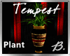 *B* Tempest Plant