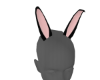 [T] Bunny Ears Anim 2 C