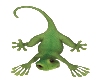 (CP)Gecko
