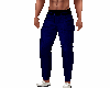 Dark Blue Pants