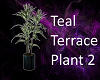 TEAL TERRACE PLANTER #2