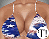T! 4th July Jewelled Set