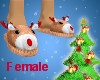 Rudolph Slippers F.