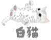 ☆Cute cat white