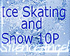 SA W.Land IceSkating 10P