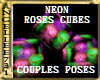 NEON ROSES COUPLES CUBES