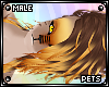 [PETS] Tigger | hair v5