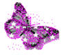 *A*purple butterfly