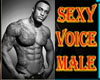 *O* Sexy Male Voice