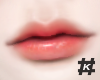 #. ABOUT .LIP