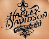 Harley Front Tattoo Big