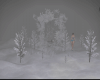 Z+Snow Photo Rooms