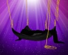 Cuddle Swing