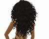 Long Curly Black Hair BH