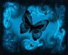 blue butterfly backdrop