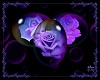 Purple Rose Radio rug