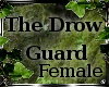 *P*The Drow Guard Femle*