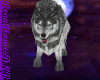 Wolf Cub Avatar