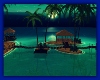 Star beach night