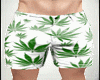 Marijuana Shorts White