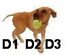 PET Smart  Dog W/Ball