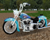 skull & roses motorcycle