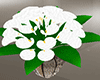 flowershop - lilies