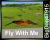 [BD] Fly With Me