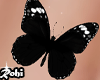 Belly Butterfly Black
