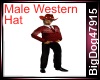 [BD]CowboyWesternHat