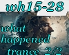 wh15-28 what happened2/2