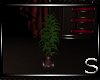 !!Soulmate  Plant 4