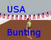 ![LD] USA Bunting