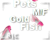 R|C Gold Fish Pink M/F