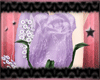 *C* Lilac Bride Rose