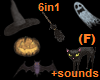 NL-Halloween Particles F