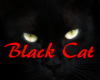 "MM" regole black cat