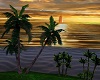 SL Sunset Beach