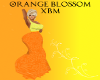 Orange Blossom XBM Prego