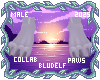 Stormy Feet