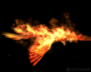 Flying Phoenix Gif