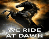 Black Armoured Horse Pet
