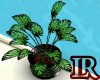 Potted Plant - Green Pot