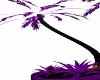 purple palm  tree
