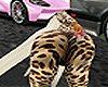 𝓣 Shake Down