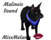 Malinois
