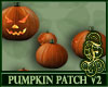 Pumpkin Patch V2