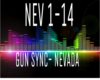 Gun sync- Nevada