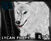 ! White Wolf Lycan Puppy